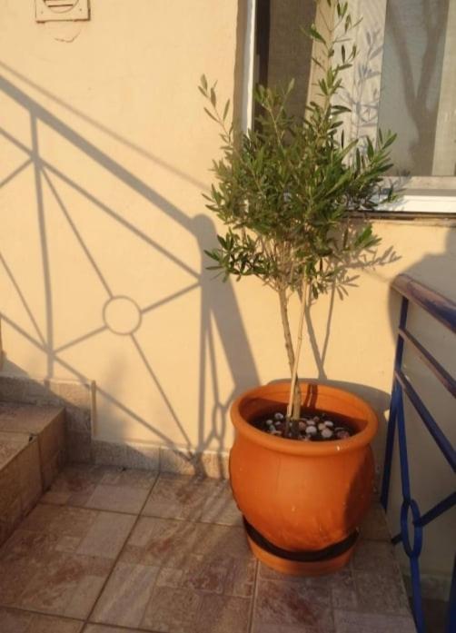 Velika Seaside Apartment Ngoại thất bức ảnh